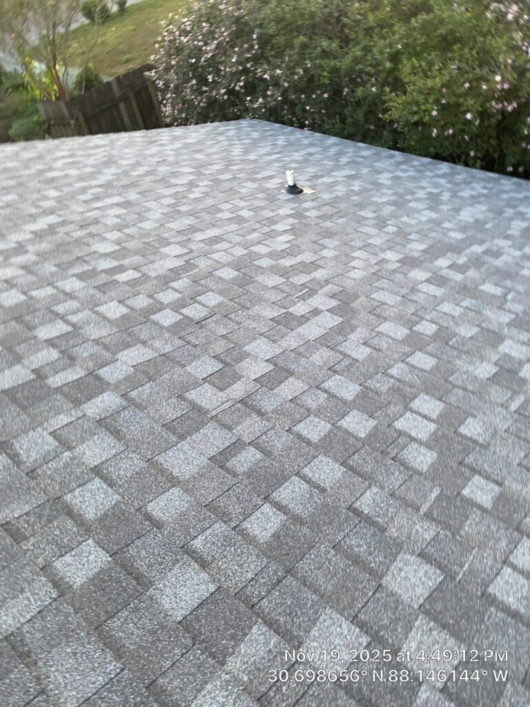 down-net_http20251210-161-dcm5lz